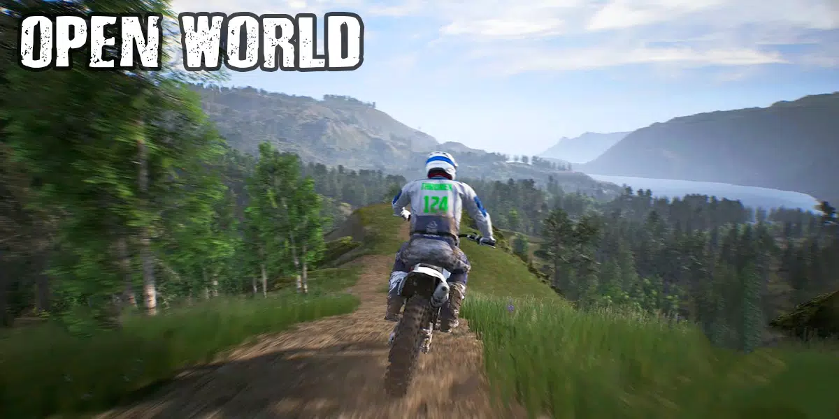 Dirt Bike Motocross MX Bikes 1