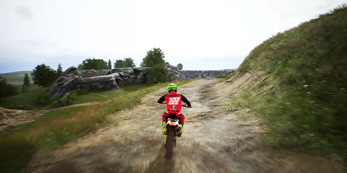 Dirt Bike Motocross MX Bikes 4