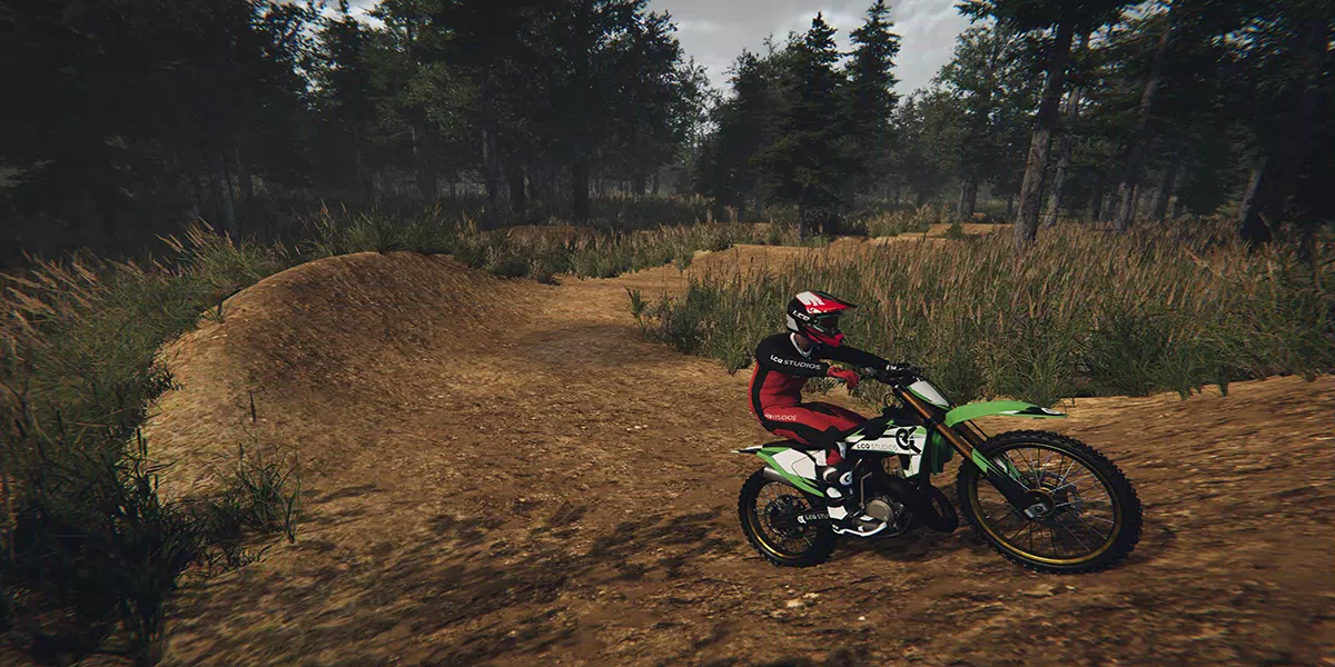 Dirt Bike Motocross MX Bikes 6