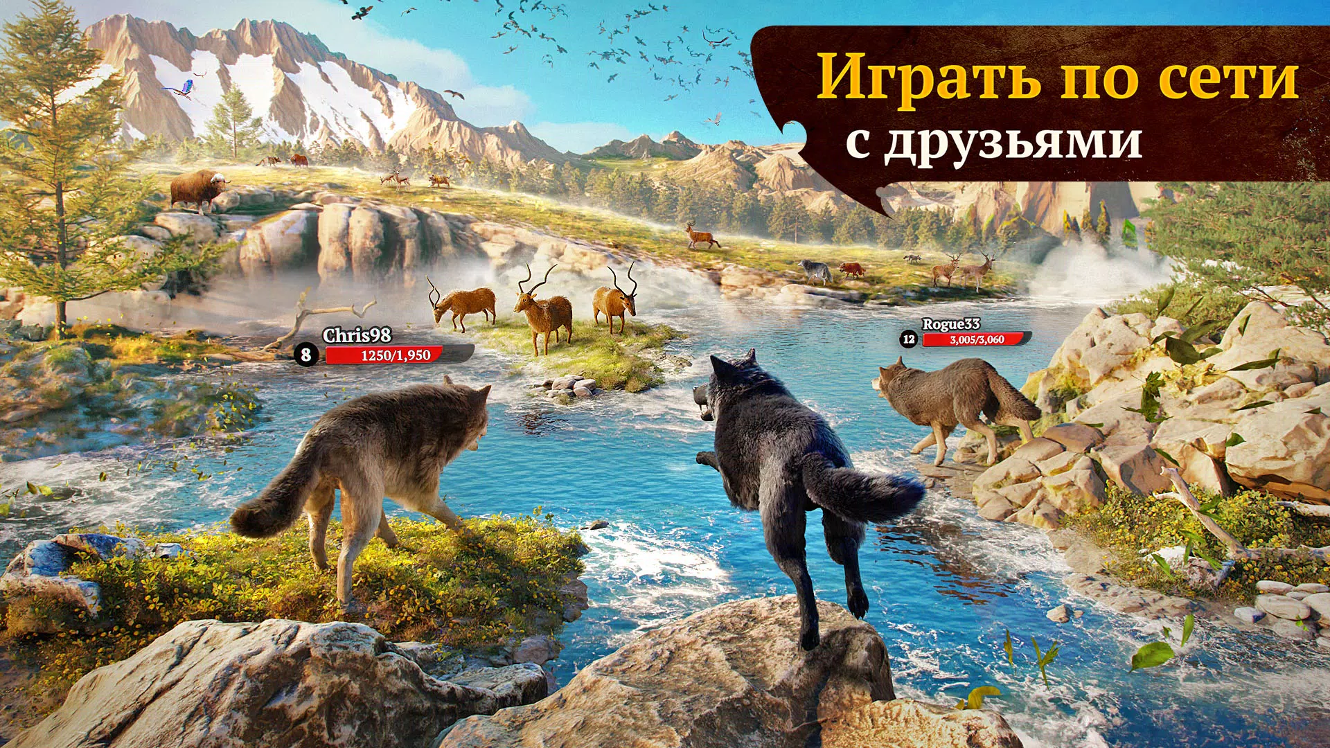 The Wolf 5