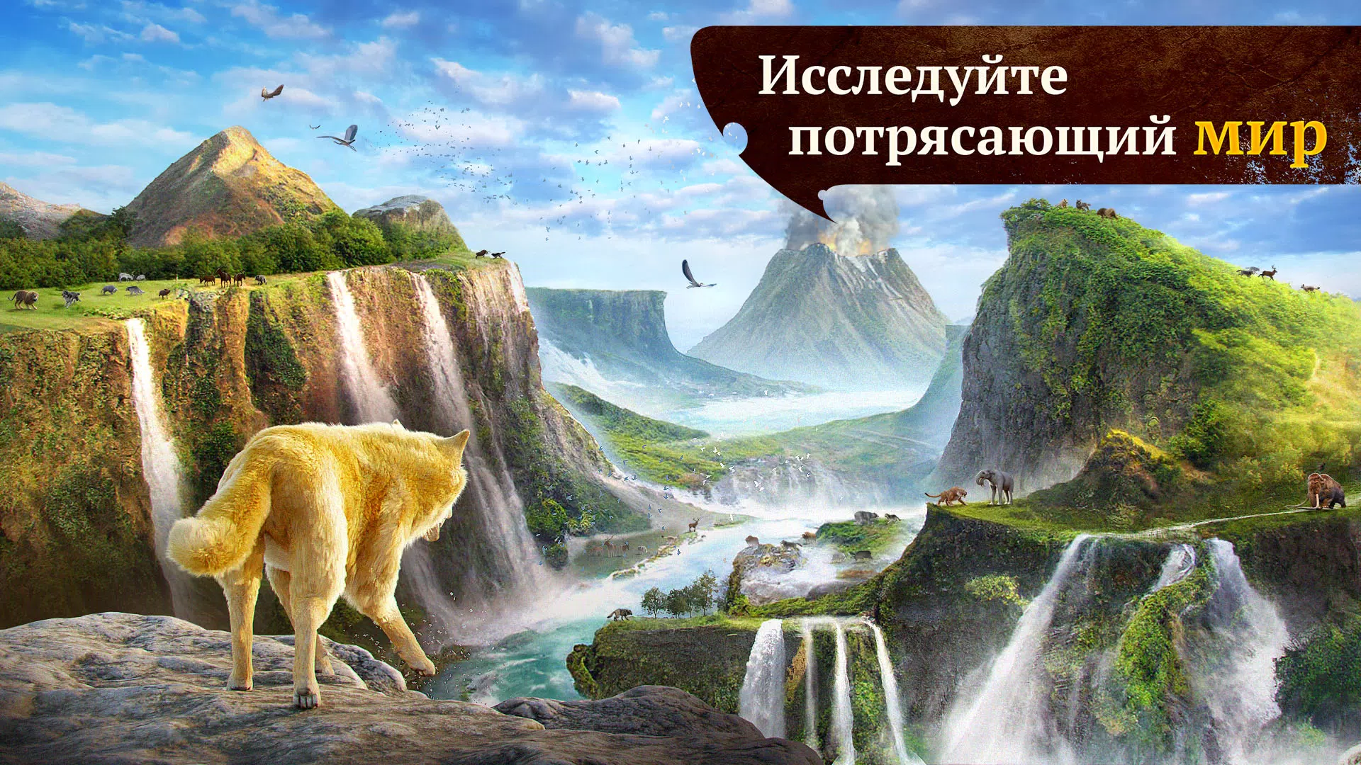 The Wolf 6