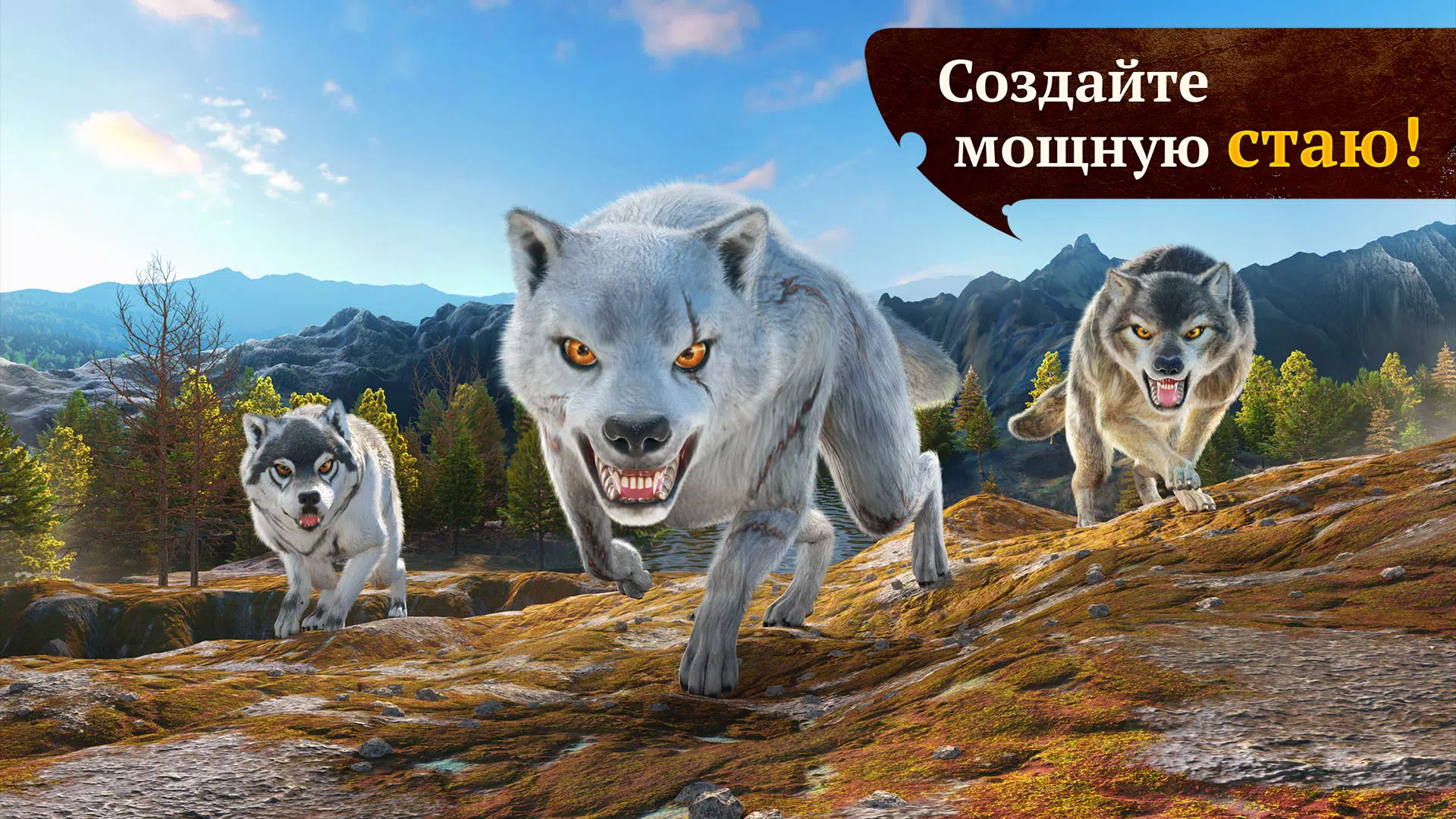 The Wolf 7